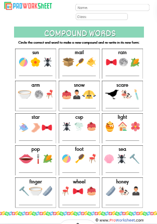 Compound Words Worksheet Grade 1